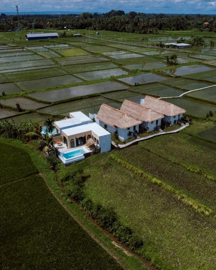 Villa Woywoy Escape Samu (Adults Only) Ubud Esterno foto