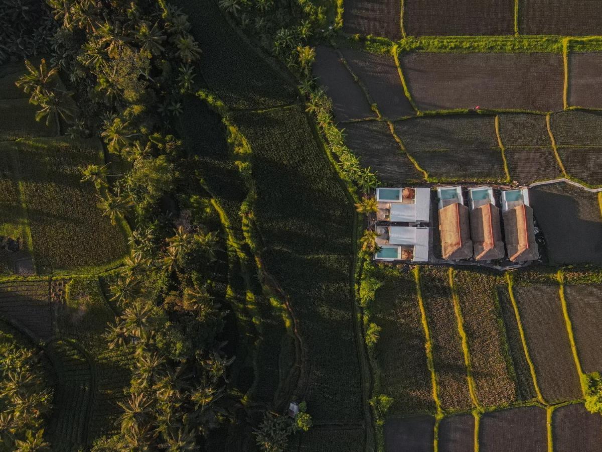 Villa Woywoy Escape Samu (Adults Only) Ubud Esterno foto